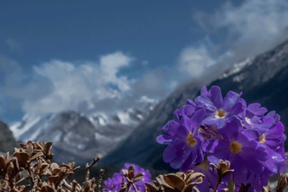 Eastern Himalayas Adventure